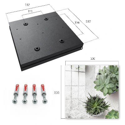 Boîte à clés murale décorative Plantes succulentes vertes