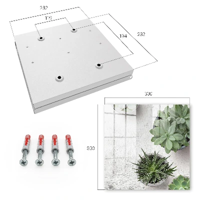 Boîte à clés murale décorative Plantes succulentes vertes