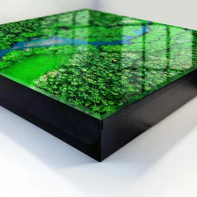 Armoire à clés décorative Forêts vertes
