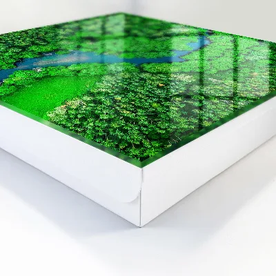 Armoire à clés décorative Forêts vertes