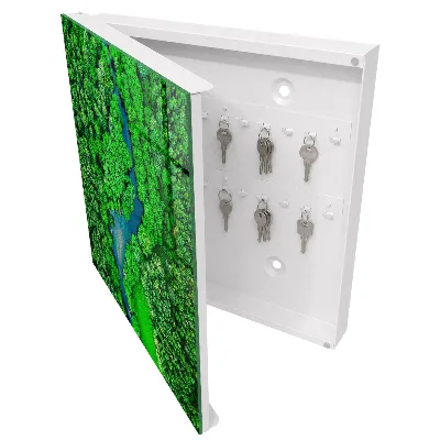 Armoire à clés décorative Forêts vertes