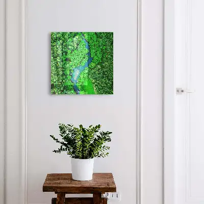 Armoire à clés décorative Forêts vertes
