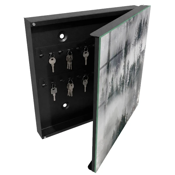 Armoire à clés design Vert brumeux