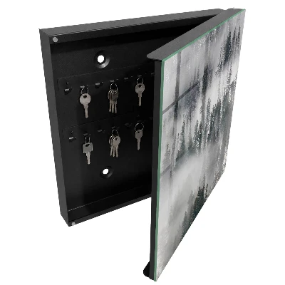 Armoire à clés design Vert brumeux