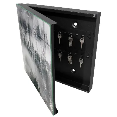 Armoire à clés design Vert brumeux