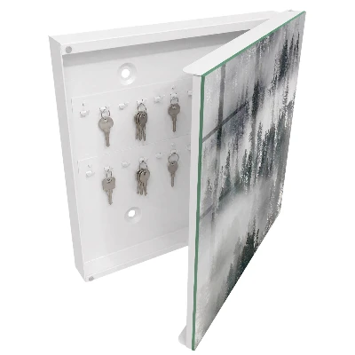 Armoire à clés design Vert brumeux