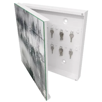 Armoire à clés design Vert brumeux