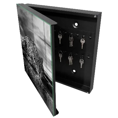 Armoire à clés décorative Des jaguars dans l'eau