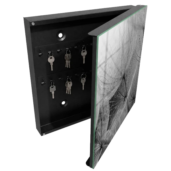 Armoire à clés design Graines de pissenlit