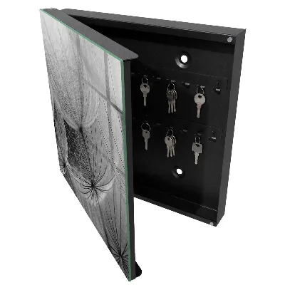 Armoire à clés design Graines de pissenlit
