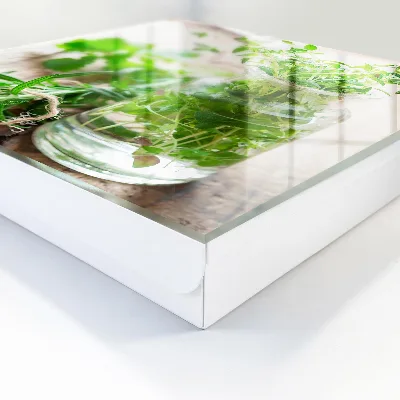 Armoire à clés décorative Herbes vertes