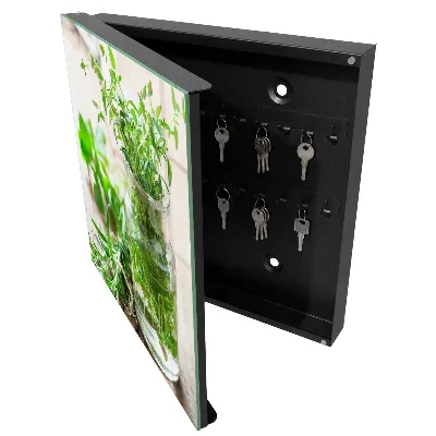 Armoire à clés décorative Herbes vertes