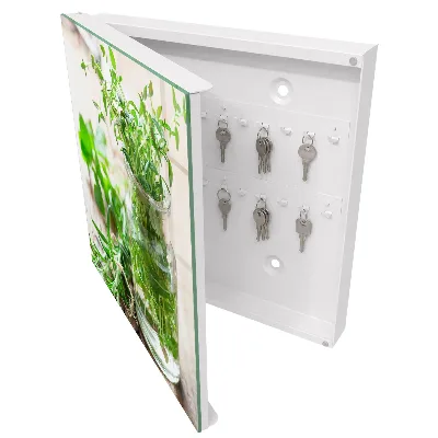 Armoire à clés décorative Herbes vertes