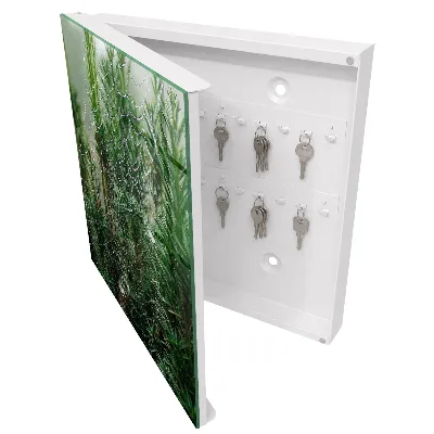 Boîte à clés murale décorative Toile d'araignée dans la forêt