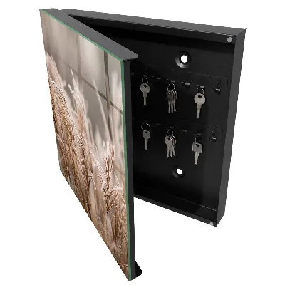 Armoire à clés design Herbe gelée