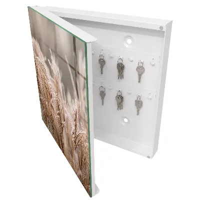 Armoire à clés design Herbe gelée