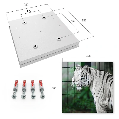Armoire à clés décorative Tigre blanc