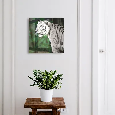 Armoire à clés décorative Tigre blanc