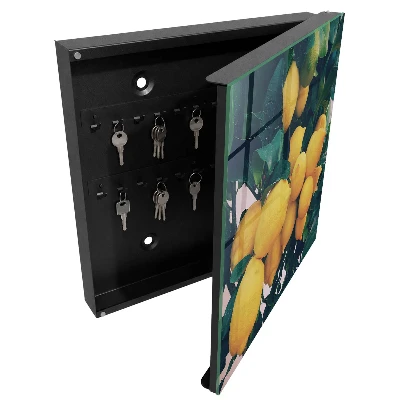 Armoire à clés design Feuilles vertes