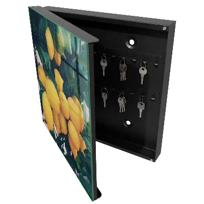 Armoire à clés design Feuilles vertes