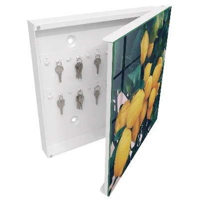 Armoire à clés design Feuilles vertes