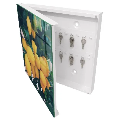 Armoire à clés design Feuilles vertes