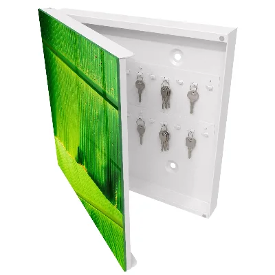 Armoire à clés décorative Lueur des feuilles