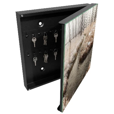 Armoire à clés décorative Rivière d'hiver