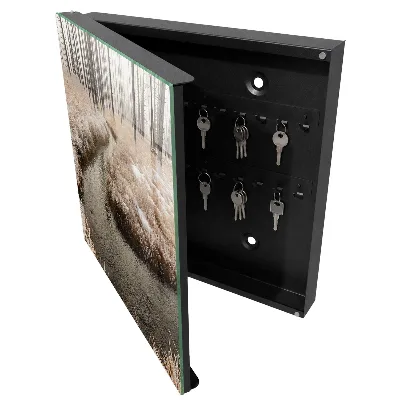 Armoire à clés décorative Rivière d'hiver