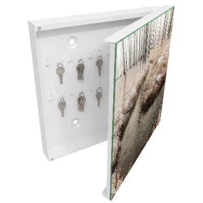 Armoire à clés décorative Rivière d'hiver