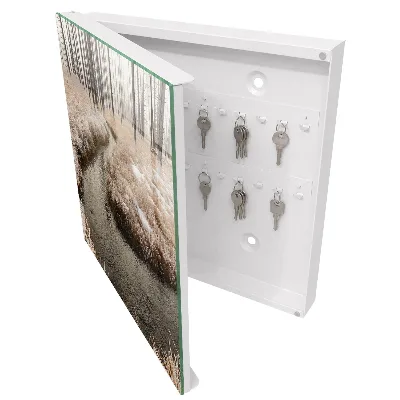 Armoire à clés décorative Rivière d'hiver