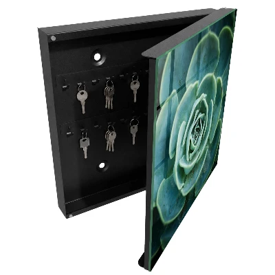 Armoire à clés design Rosette verte