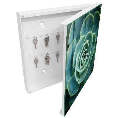 Armoire à clés design Rosette verte