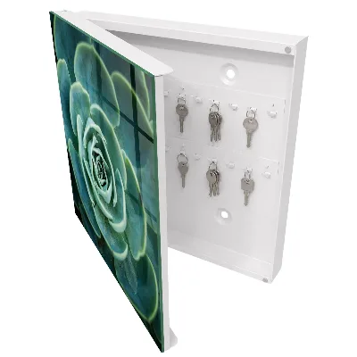 Armoire à clés design Rosette verte