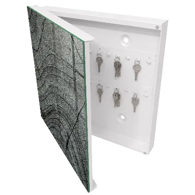 Boîte à clés murale décorative Anneaux de croissance des arbres