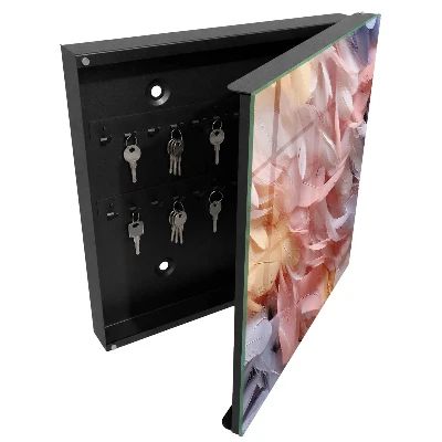 Armoire à clés décorative Plumes pastel