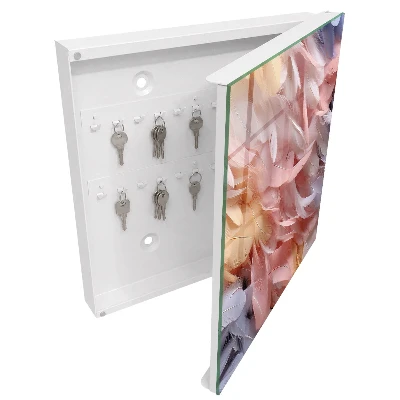 Armoire à clés décorative Plumes pastel