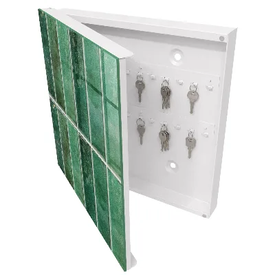 Armoire à clés design Motif vert