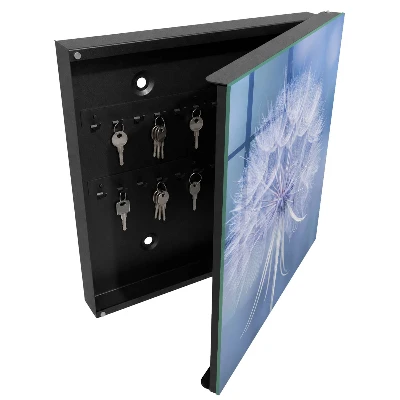 Armoire à clés décorative Pissenlit subtil
