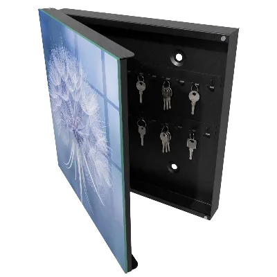 Armoire à clés décorative Pissenlit subtil