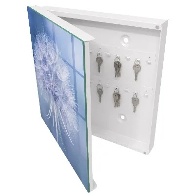 Armoire à clés décorative Pissenlit subtil