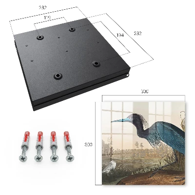 Armoire à clés design Oiseau exotique