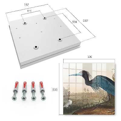 Armoire à clés design Oiseau exotique