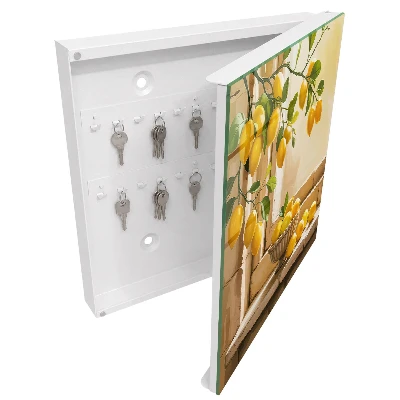 Boîte à clés murale décorative Fraîcheur citronnée