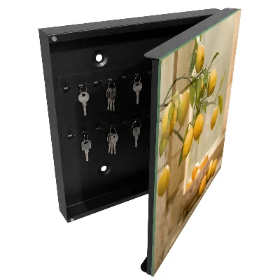 Armoire à clés décorative Charme citronné