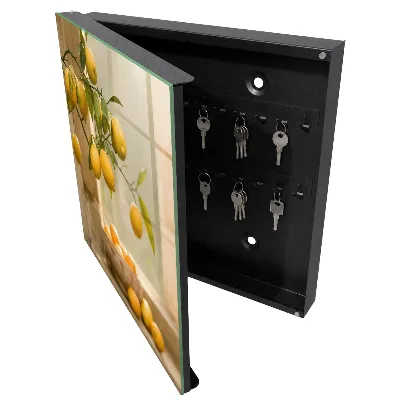 Armoire à clés décorative Charme citronné