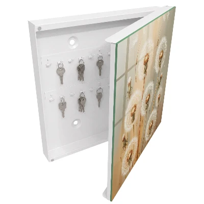 Armoire à clés design La beauté des pissenlits