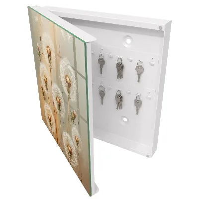 Armoire à clés design La beauté des pissenlits