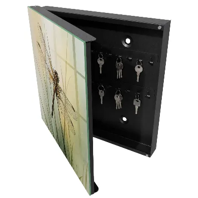 Armoire à clés décorative La nature de la libellule