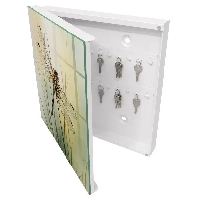 Armoire à clés décorative La nature de la libellule